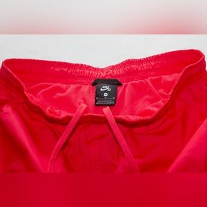 Nike SB Lightweight Skate Shorts